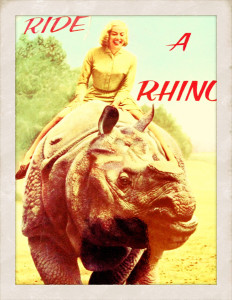 Ride a Rhino